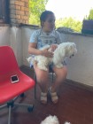 img-20260607-wa0006