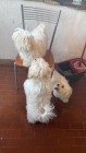 img-20260607-wa0010