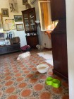 img-20260607-wa0011