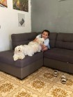 img-20260607-wa0019
