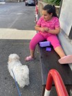 img-20260614-wa0061