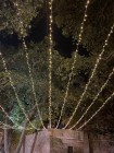 img-20260919-wa0091