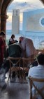 img-20260920-wa0083