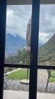 img-20260821-wa0031
