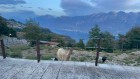 img-20260818-wa0131