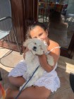img-20260819-wa0028