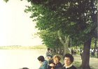 felceti041