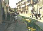 felceti051