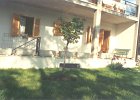 giardino0000