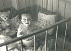baby052