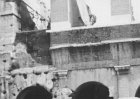 baby260