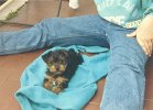 susy013