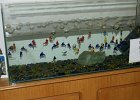 dsc02771