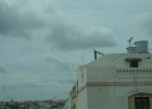 dsc02754