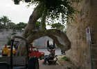dsc02883