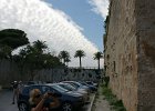 dsc02884