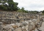 dsc02196