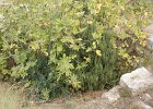 dsc02192