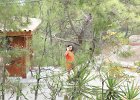 dsc02201