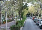 dsc02229
