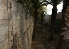 dsc02247