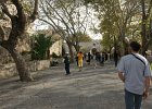 dsc02250