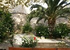 dsc02253