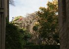dsc02272