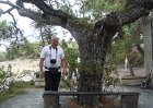 dsc06601