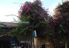 dsc06630