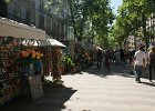 dsc07216