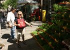 dsc07217