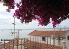 dsc00493