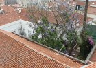 dsc00511