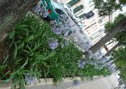 dsc00531