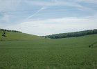 dsc08319