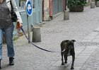 dsc08421