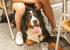 dsc08550