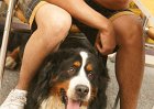 dsc08551