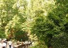 dsc08769