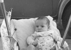 baby071