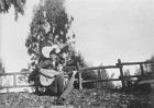 baby227
