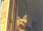 susy001
