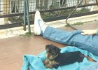 susy012