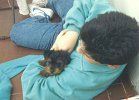 susy020