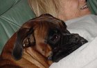 dsc00116