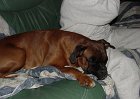 dsc00117