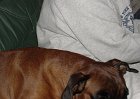 dsc00118