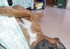 yuma063
