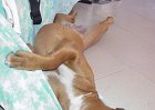 yuma064